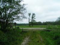 Klik op de foto voor groter formaat